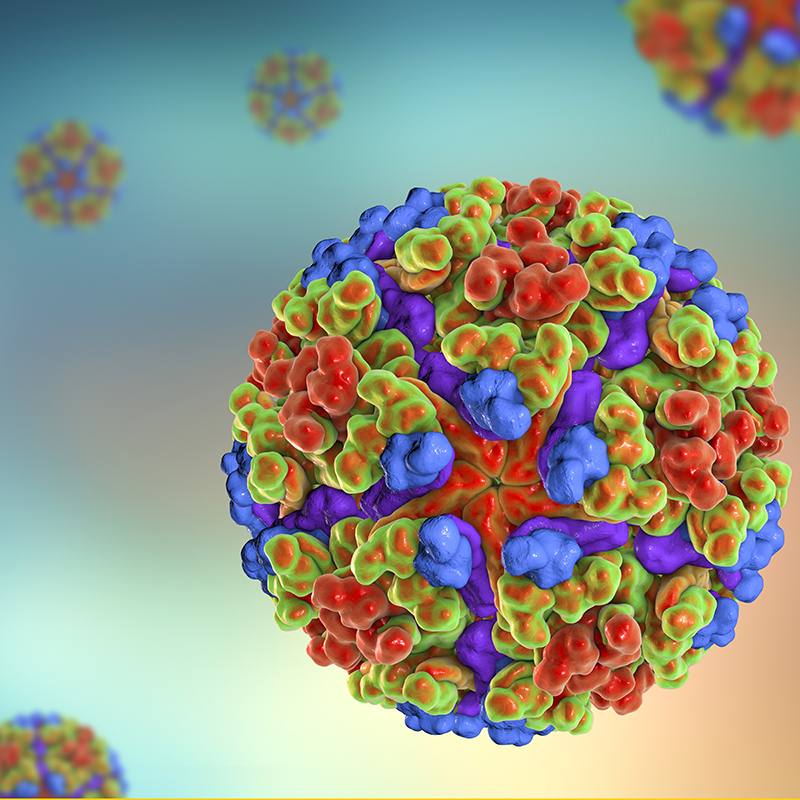 CDI-Virustsand Targets - Togoviridae Chikungunya