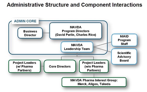 MAVDA Partners Admin Structure Illustration