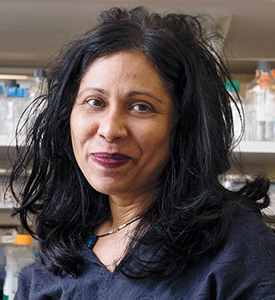 Elizabeth Campbell, Ph.D.